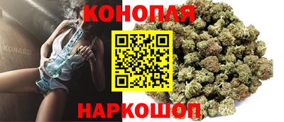 крисы Гай