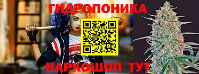 дурь Гатчина